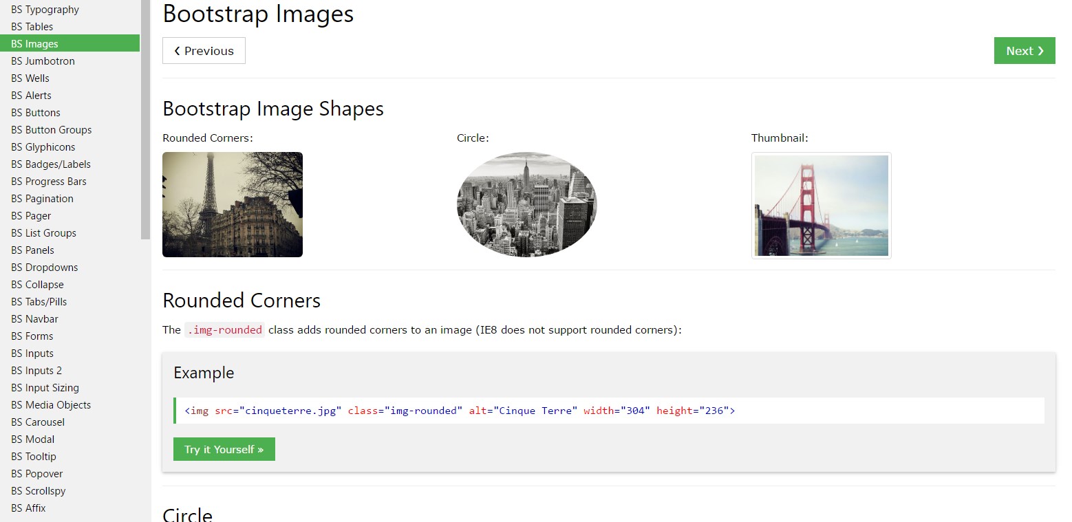 Bootstrap image  short training