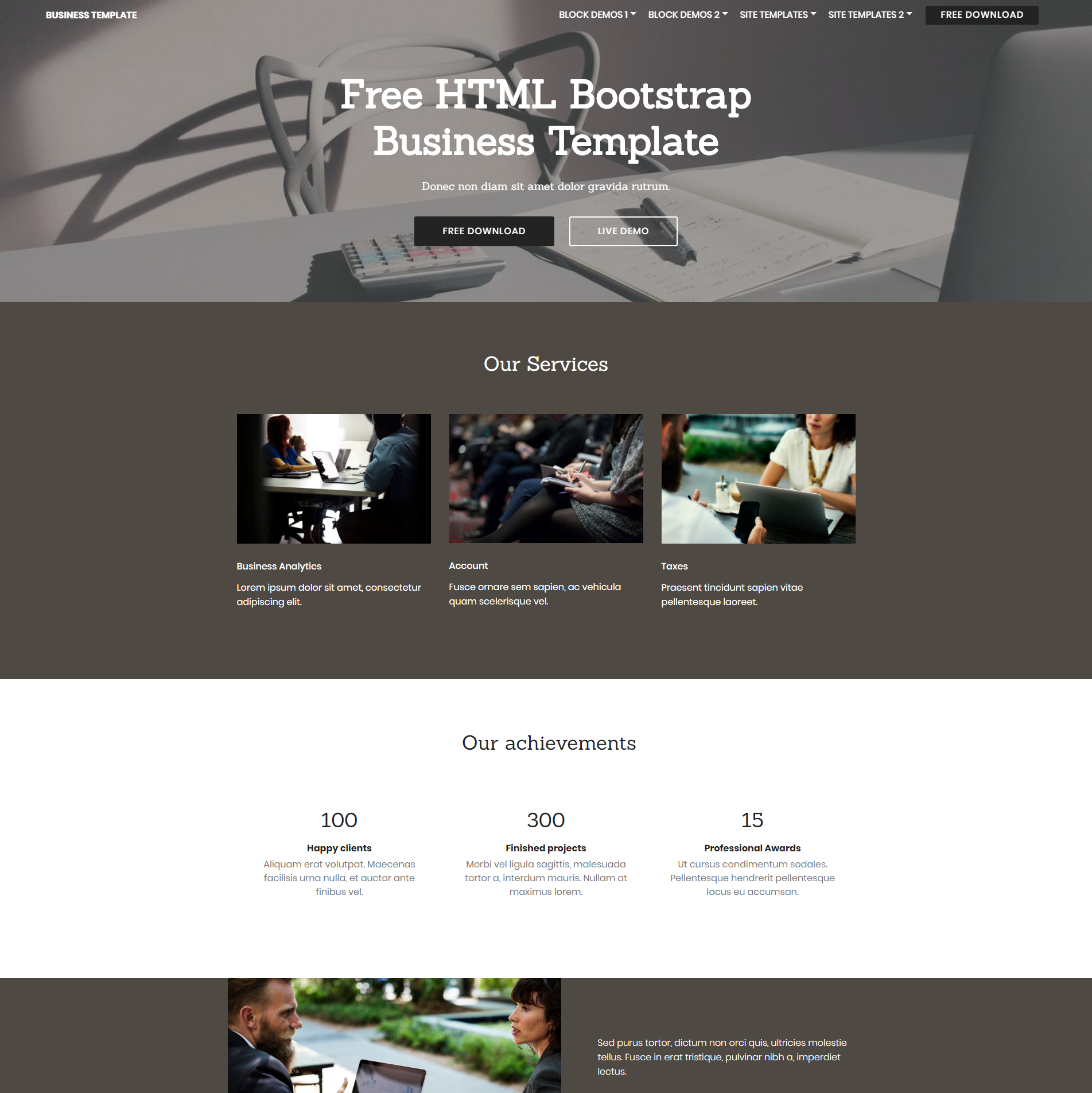 CSS3 Bootstrap Busines Themes