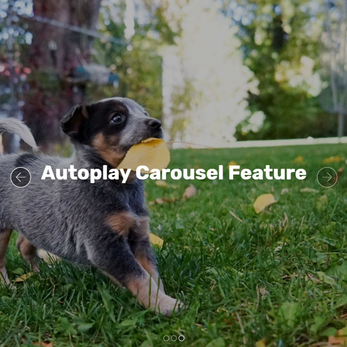 JavaScript Bootstrap Image Slider