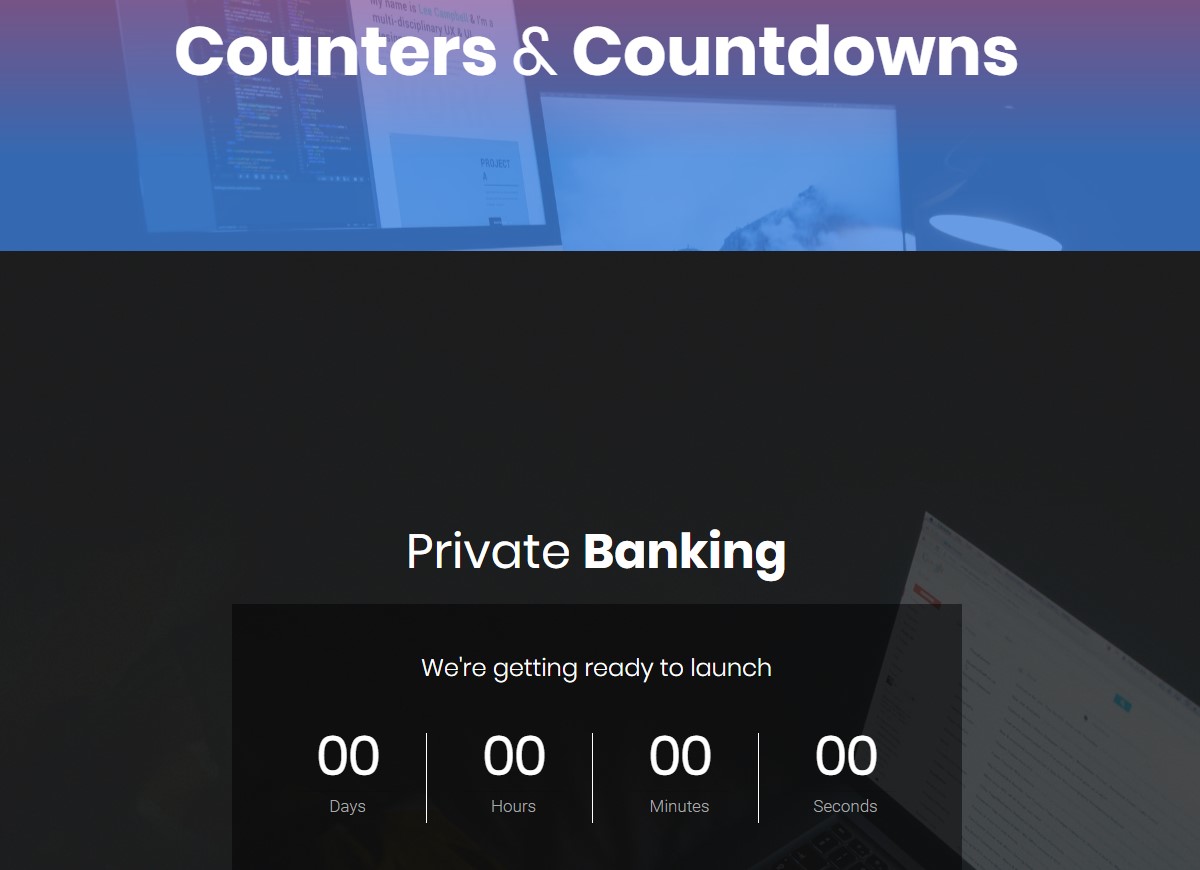 Business Website