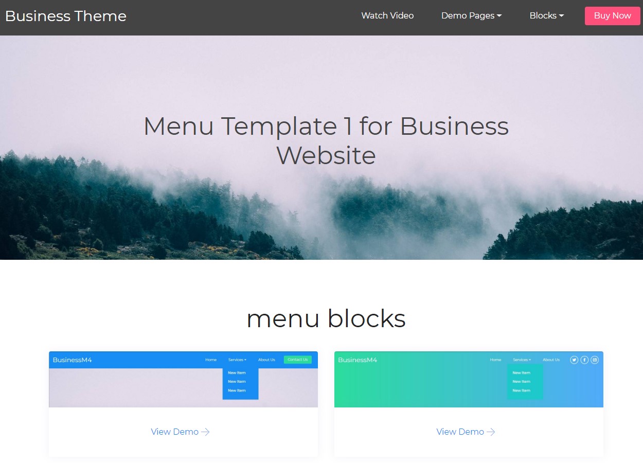 Business Website